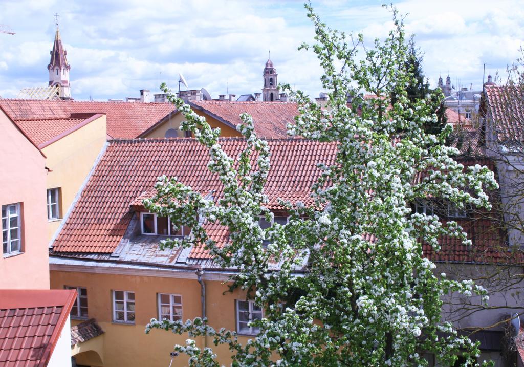 Old Town Apartment Antokolskio Wilna Exterior foto